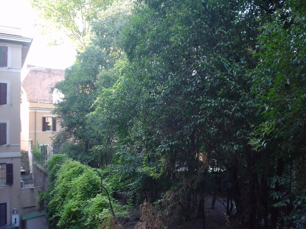 Casa Maximo Al Colosseo